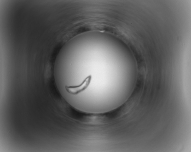 X0000089890323200707192019