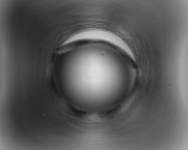 X0000089890325200707192019