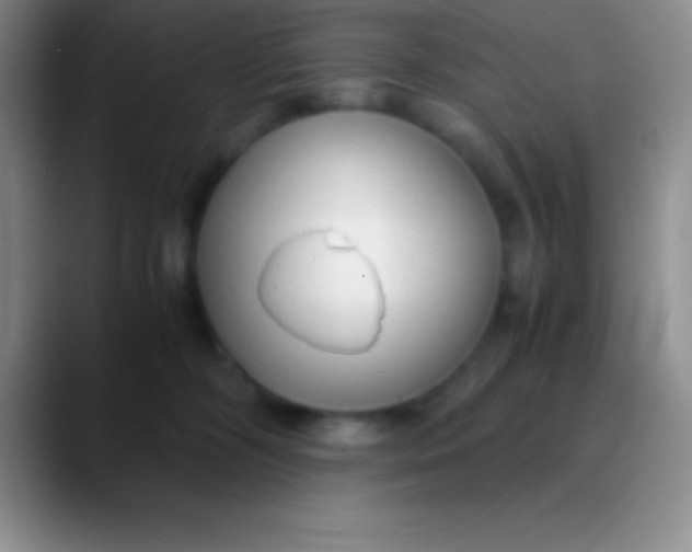 X0000089890326200707192019