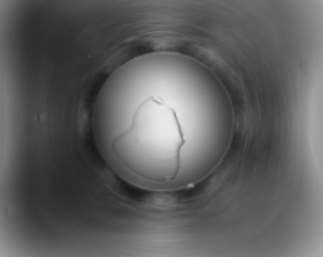 X0000089890327200707192019