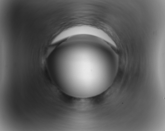 X0000089890329200707192019