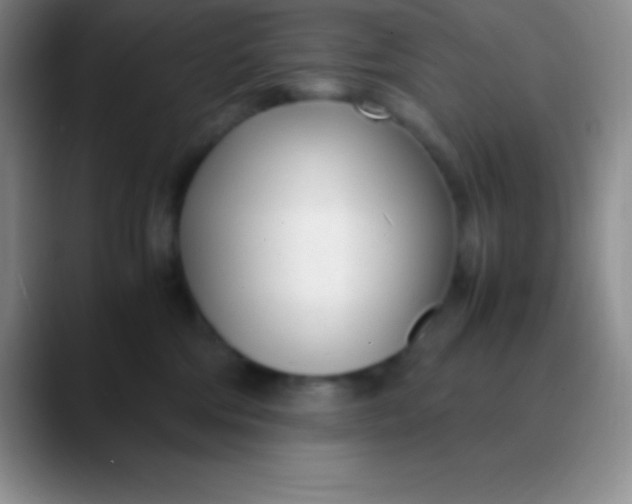 X0000089890330200707192019