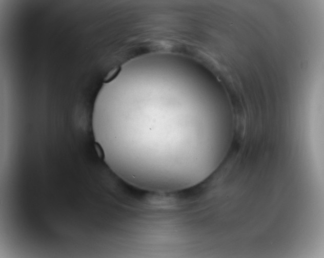 X0000089890331200707192019