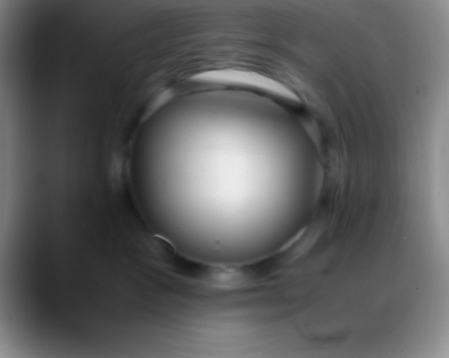 X0000089890333200707192019