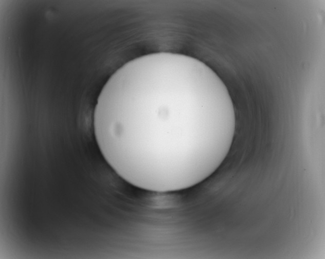 X0000089890336200707192019