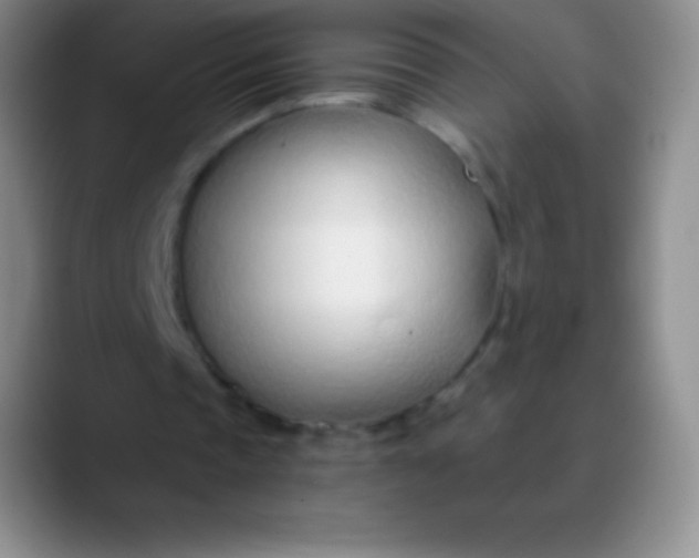 X0000089890337200707192018