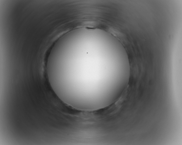 X0000089890338200707192018