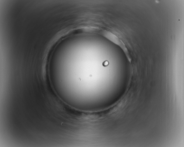 X0000089890340200707192018