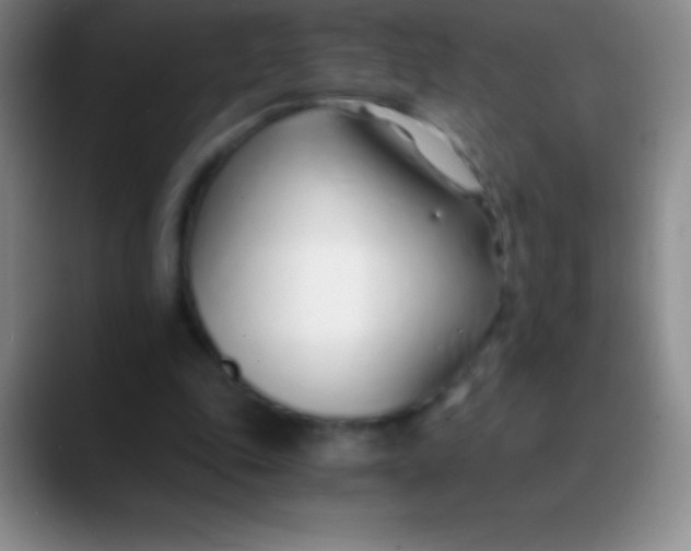 X0000089890343200707192018