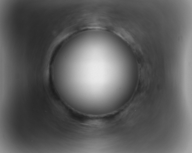 X0000089890344200707192018