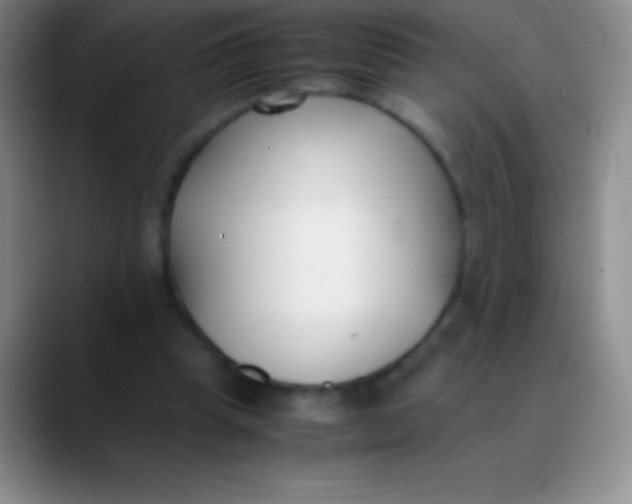 X0000089890345200707192018