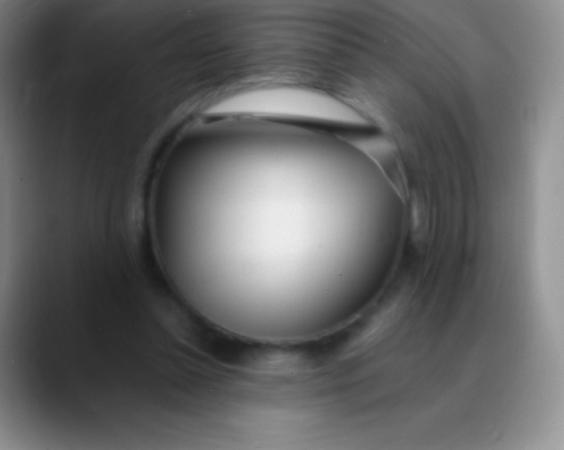 X0000089890348200707192018