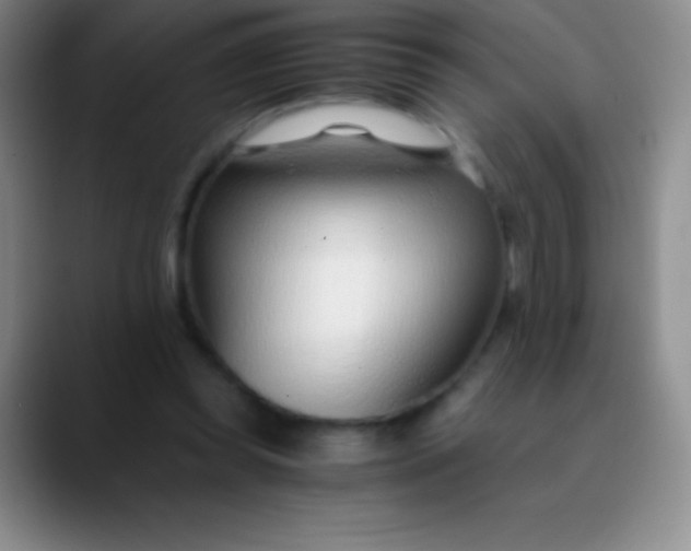 X0000089890349200707192018