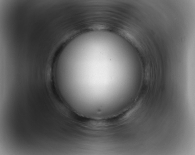 X0000089890351200707192018