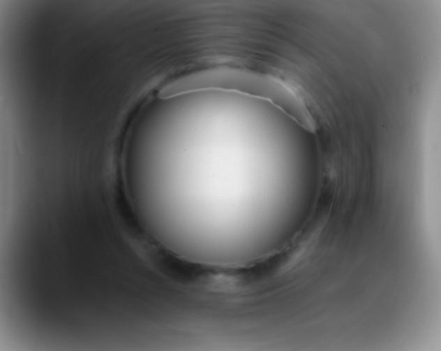 X0000089890352200707192018