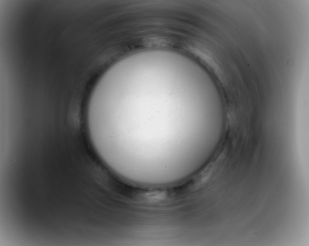 X0000089890353200707192018