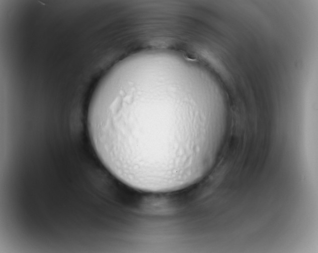 X0000089890354200707192018