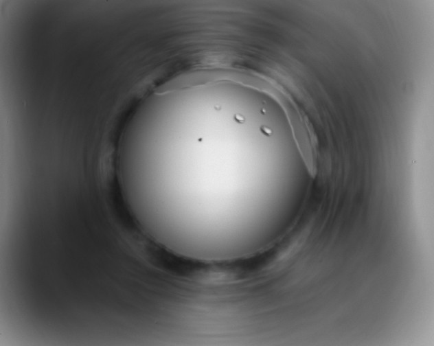 X0000089890356200707192018