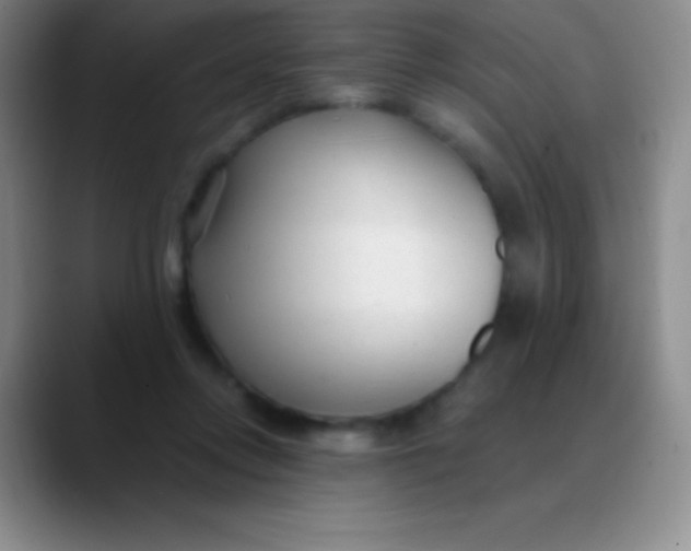 X0000089890358200707192018