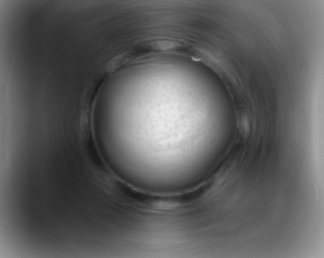 X0000089890360200707192018