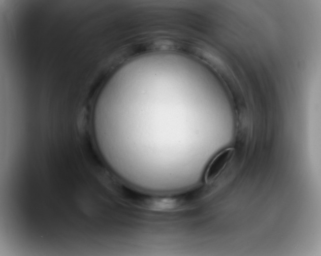 X0000089890361200707192018