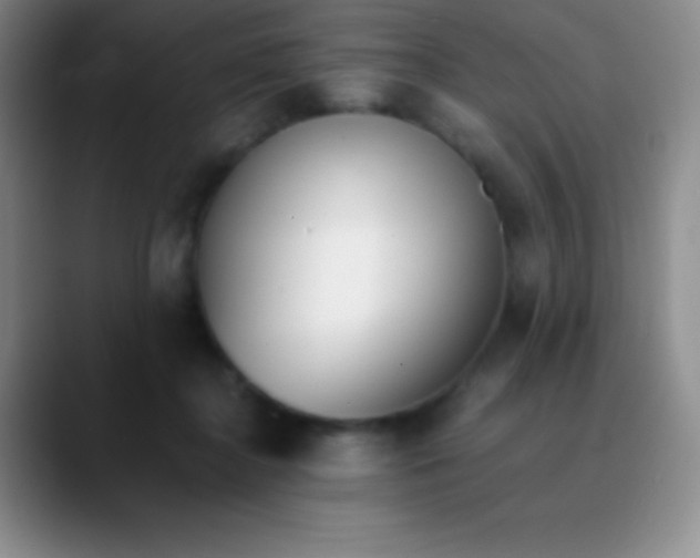 X0000089890364200707192018