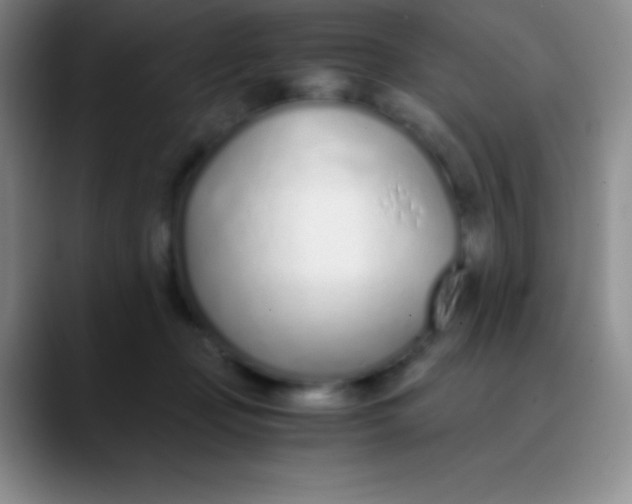 X0000089890365200707192018