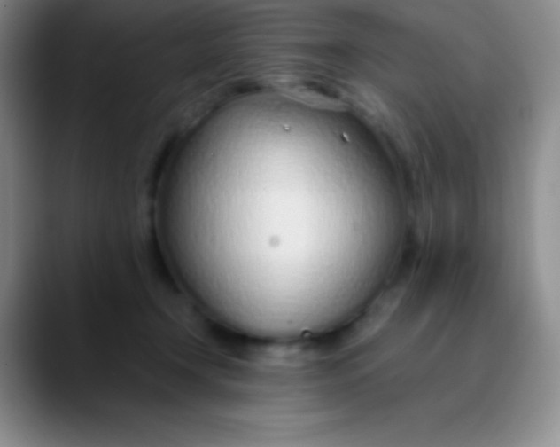 X0000089890366200707192018