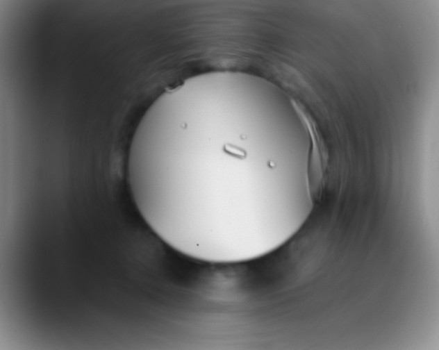 X0000089890368200707192018