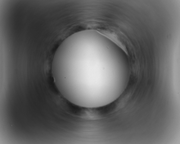 X0000089890372200707192018