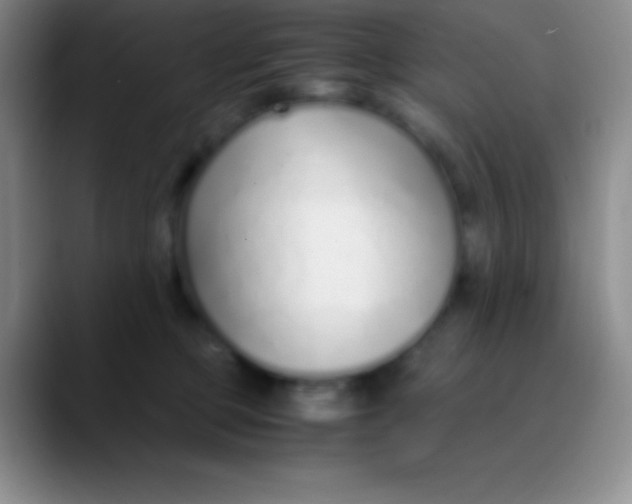 X0000089890373200707192019