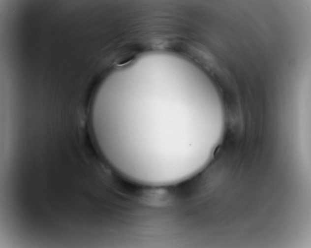 X0000089890374200707192019