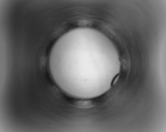 X0000089890375200707192019