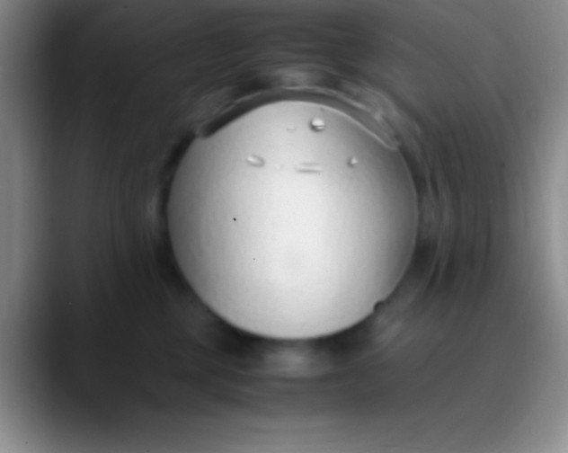 X0000089890377200707192019