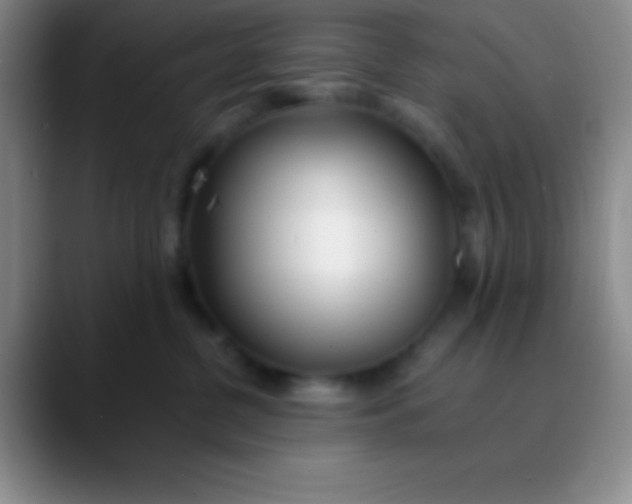 X0000089890380200707192019