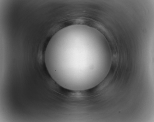 X0000089890381200707192019