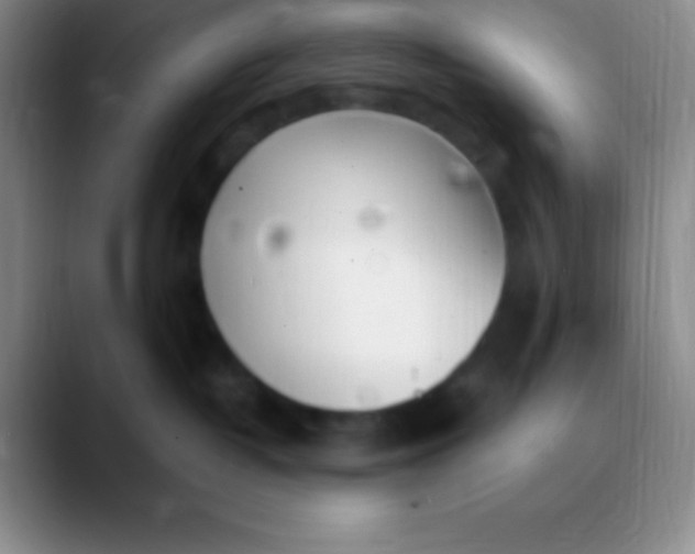 X0000089890382200707192019