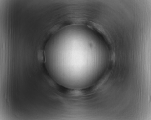 X0000089890383200707192019