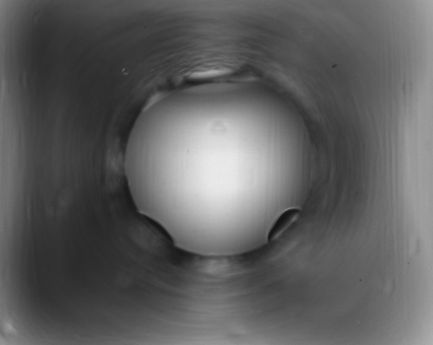 X0000089890384200707192019