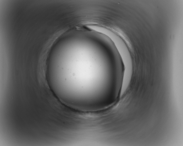 X0000089890385200707192018