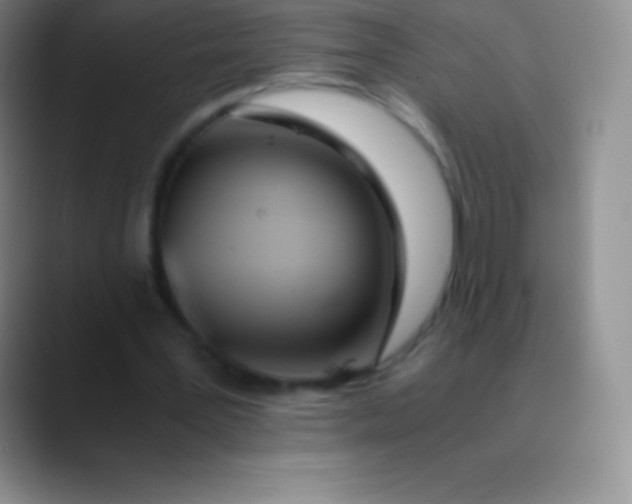 X0000089890387200707192018