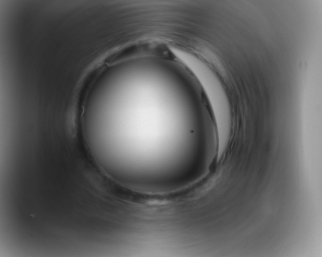 X0000089890388200707192018