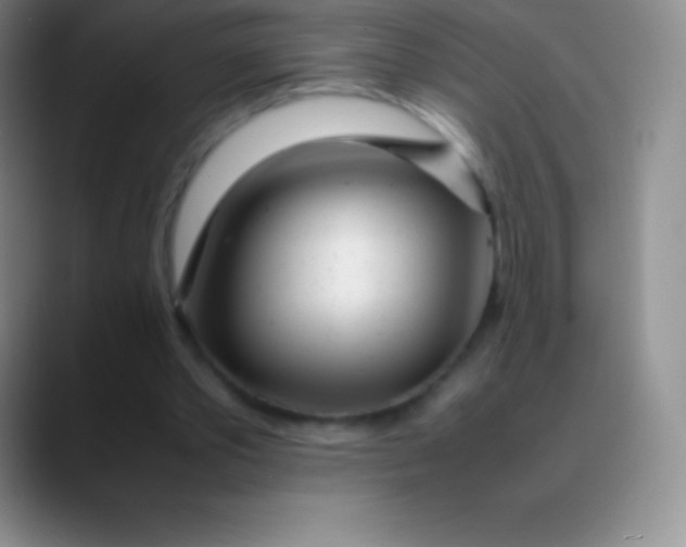 X0000089890389200707192018