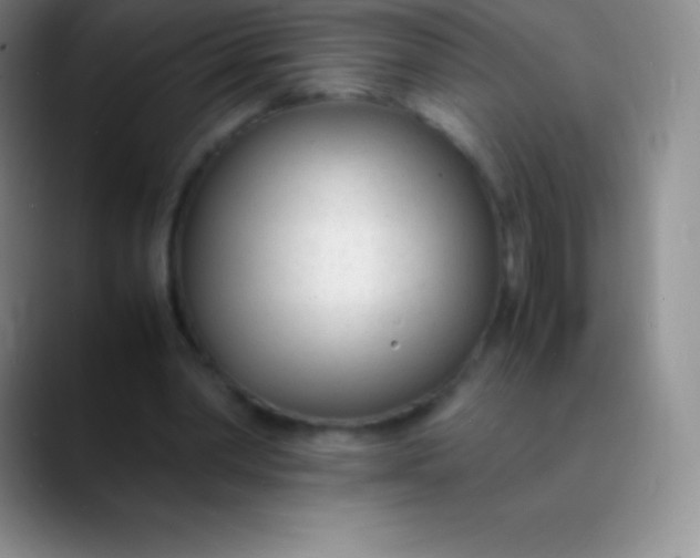 X0000089890390200707192018