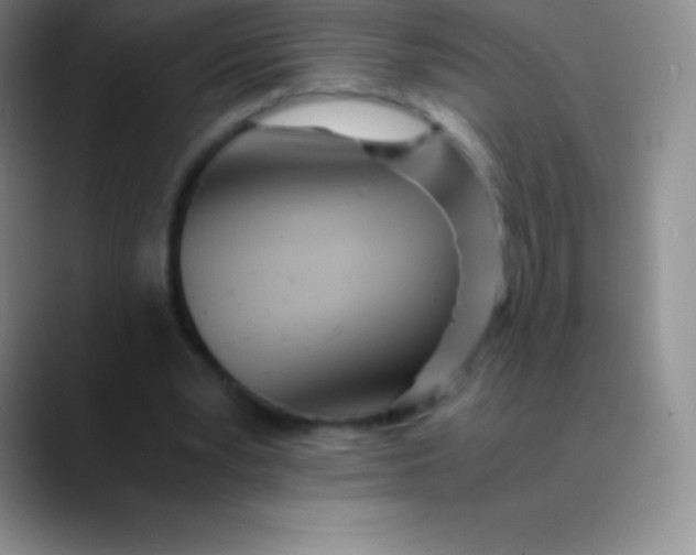 X0000089890391200707192018