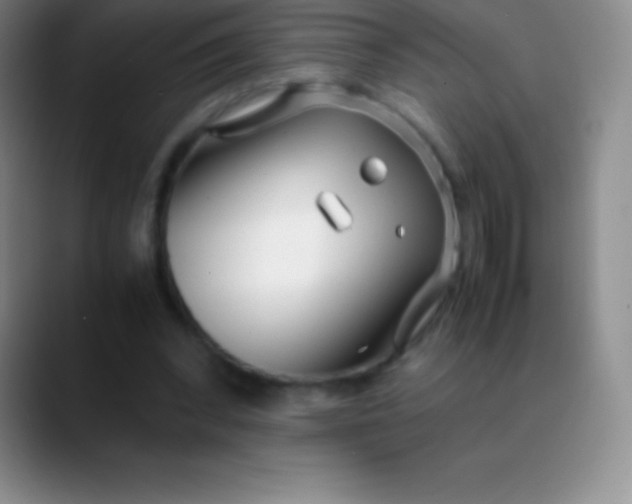 X0000089890392200707192018