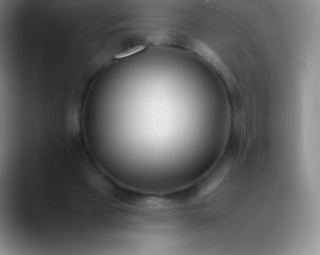 X0000089890393200707192018