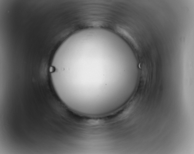 X0000089890394200707192018