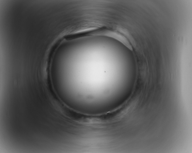 X0000089890395200707192018