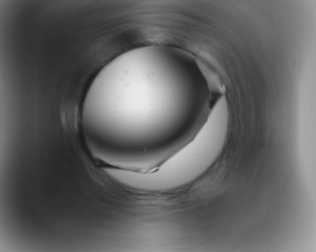 X0000089890397200707192018